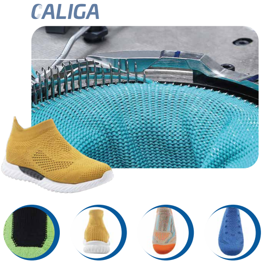 IRMACTREX CALIGA (图1)